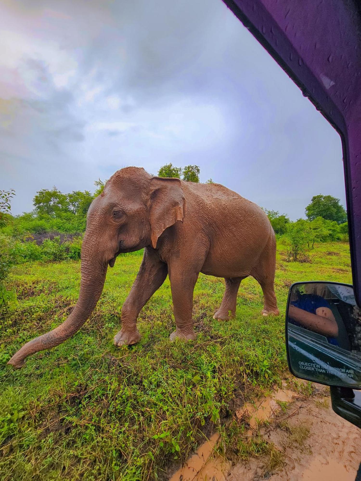 Hotel Bright Sun Safari Udawalawe Zewnętrze zdjęcie