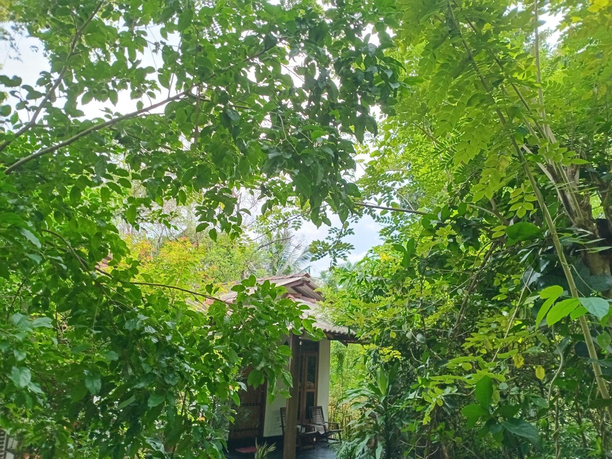 Hotel Bright Sun Safari Udawalawe Zewnętrze zdjęcie